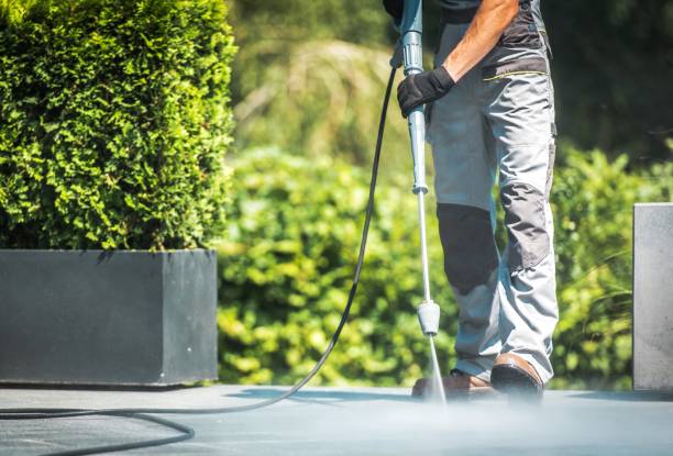 Best Roof Cleaning and Mildew Removal in Atlanta, GA