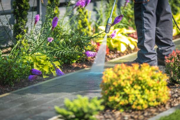 Best Soft Washing for Delicate Surfaces in Atlanta, GA